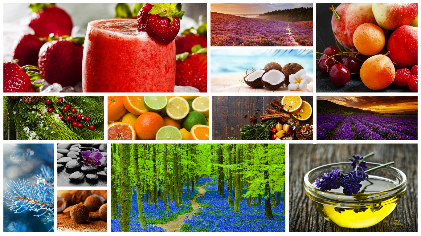scents-front-page-2